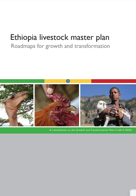Publication Images