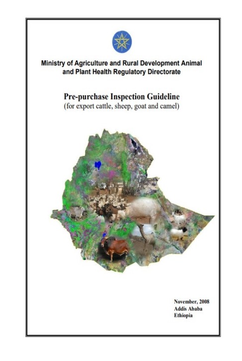 Publication Images