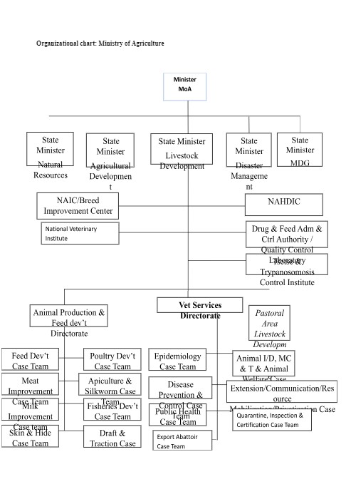 Publication Images